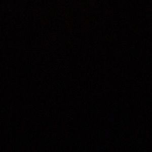 Meet your Posher, Rosita